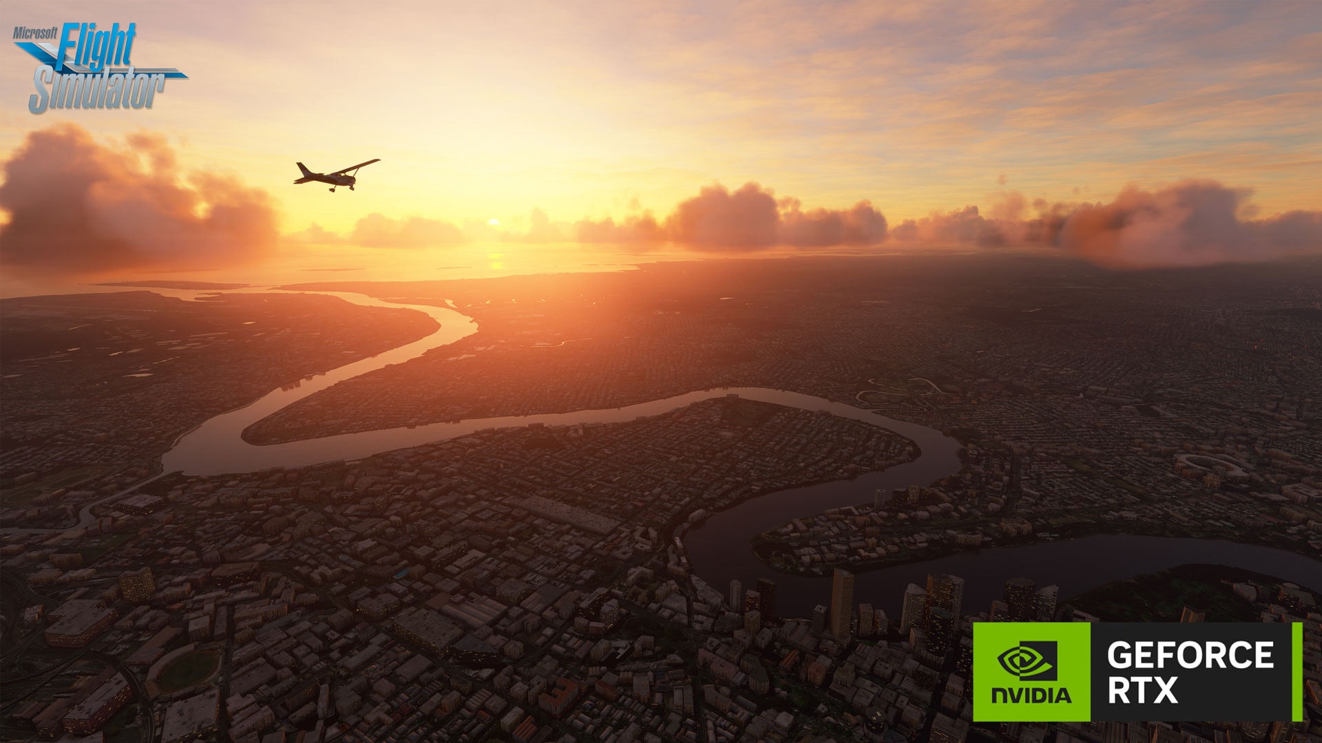 Microsoft Flight Simulator