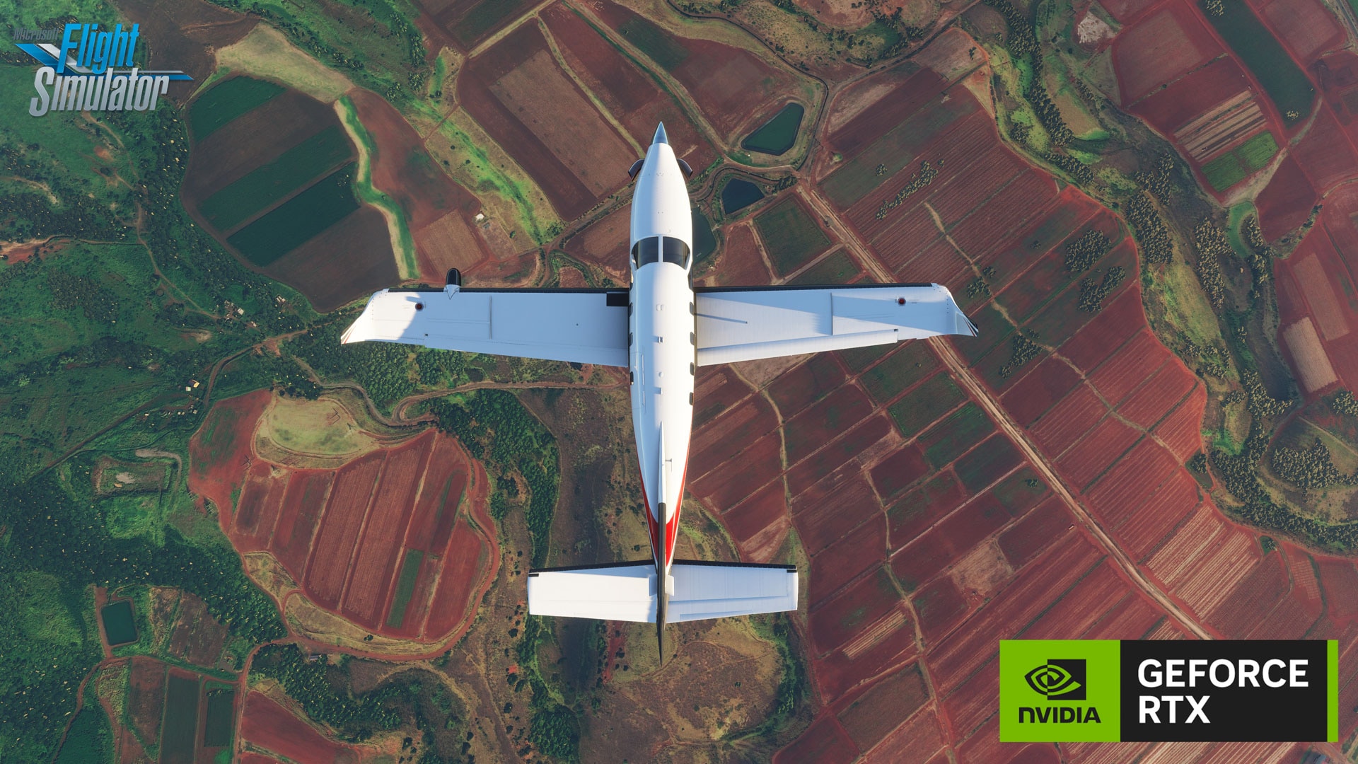 Microsoft Flight Simulator