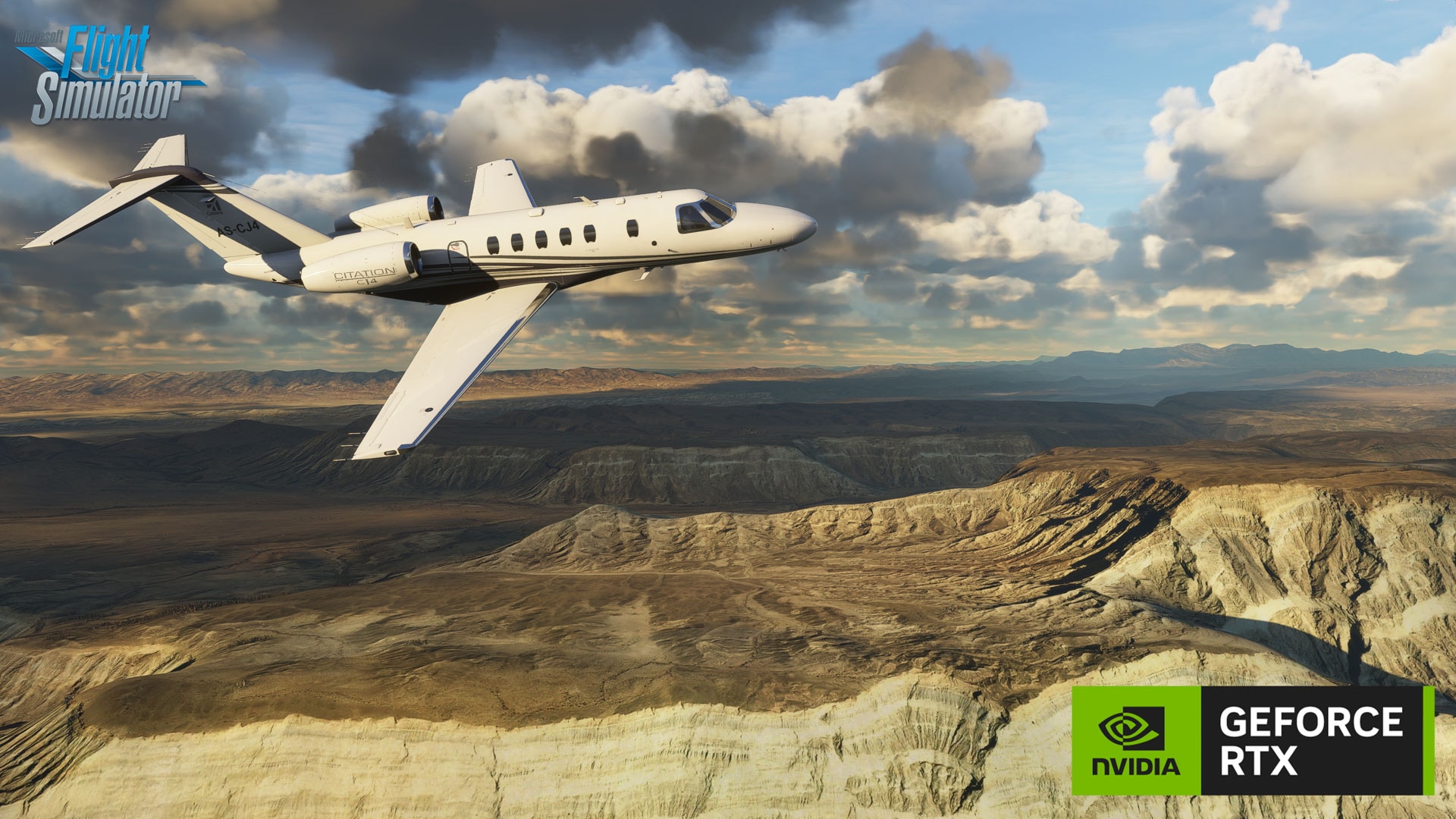 Microsoft Flight Simulator