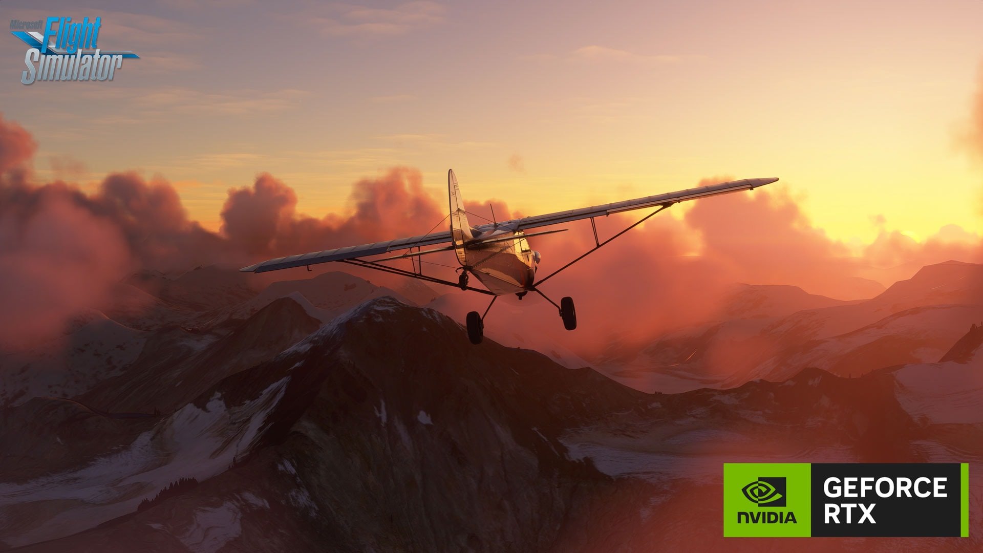 Microsoft Flight Simulator