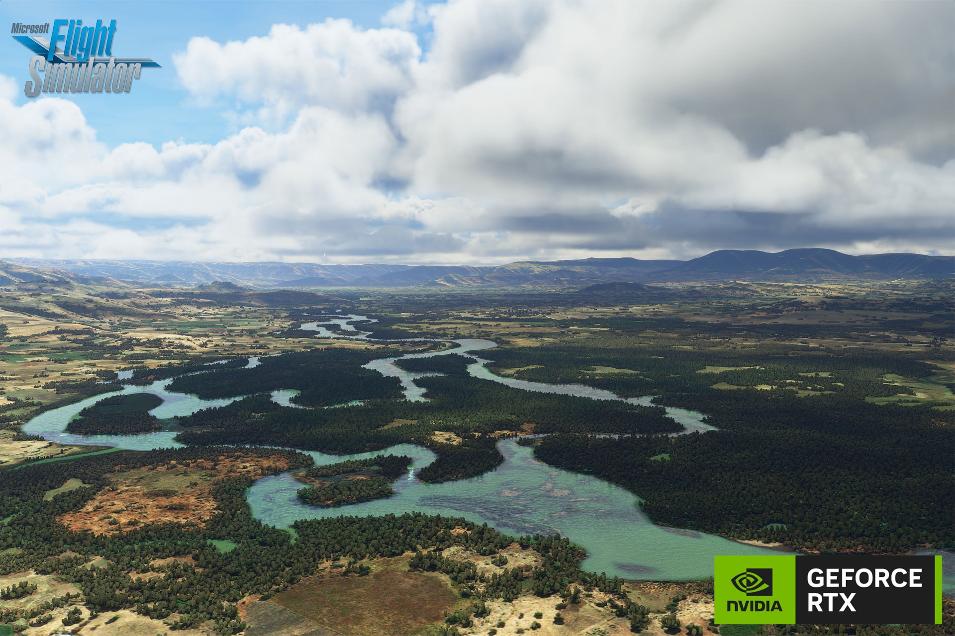 Microsoft Flight Simulator