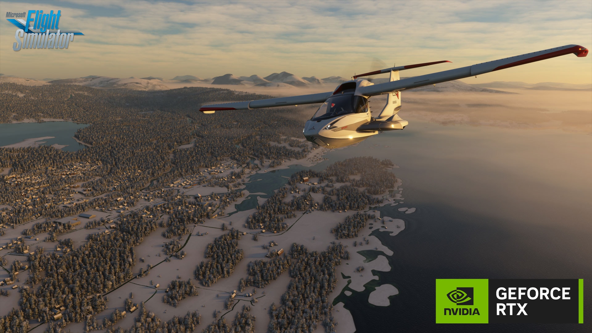 Microsoft Flight Simulator